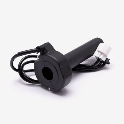 Electronic Throttle Assembly 3