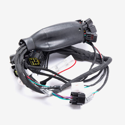 Full-E Charged Wiring Loom for Sur-Ron Light Bee  LBX (WRLM305)