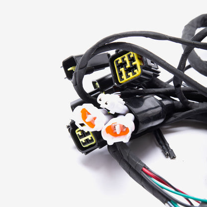 Full-E Charged Wiring Loom for Sur-Ron Light Bee  LBX (WRLM305)
