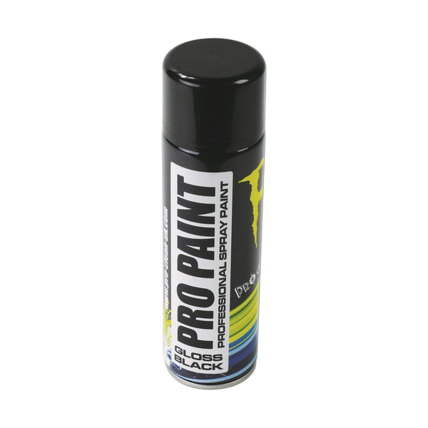 Pro Clean Pro Paint Black Gloss Professional Paint - 500ml
